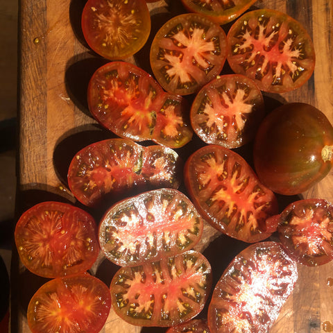 Tomato, Japanese Black Trifele