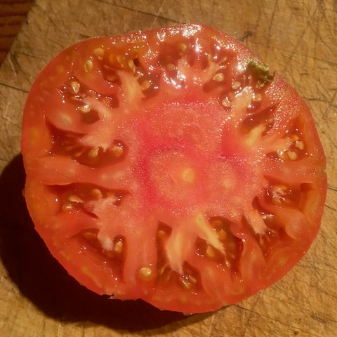 Tomato, Polish Giant