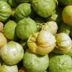 Tomatillo, Golden Husk