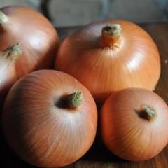 Onion, Valencia
