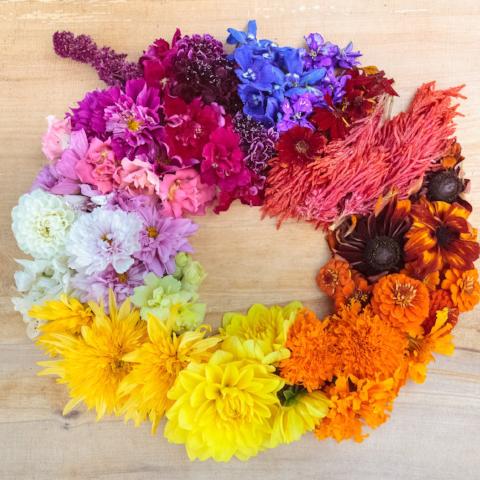 Seed CSA, Flower